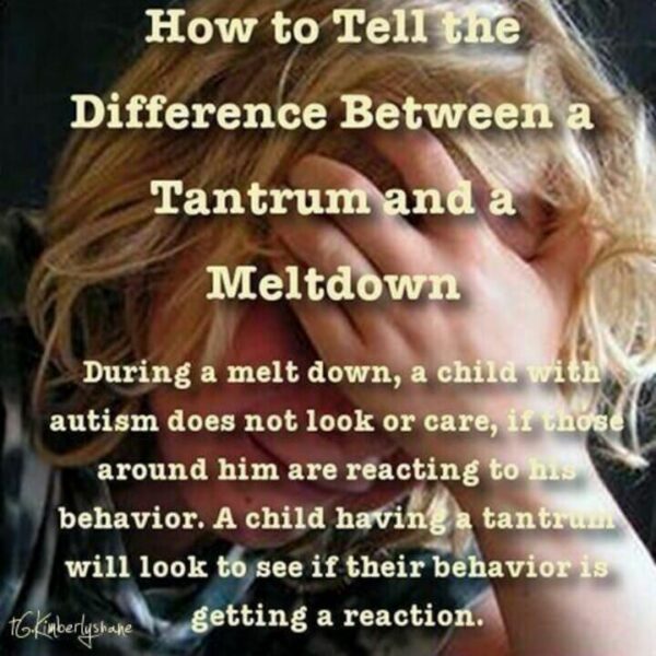 How to Tell the Difference Between a Tantrum and a Meltdown. Finding Cooper's Voice