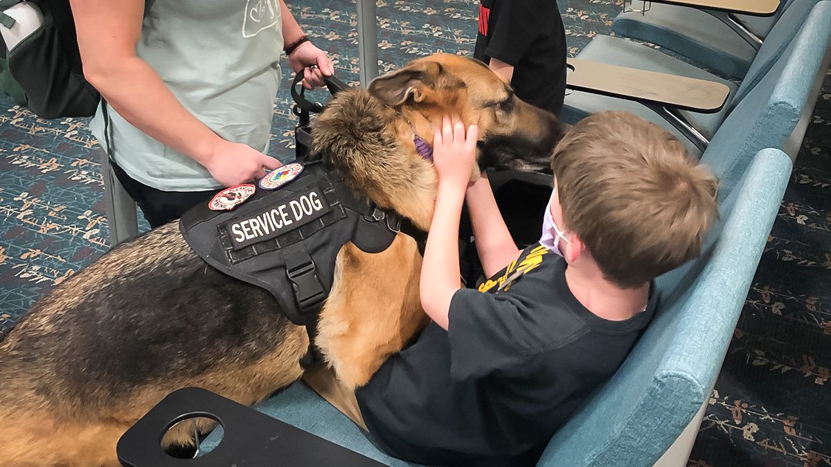 The 3 Types of Dog Helpers Finding Cooper's Voice to the