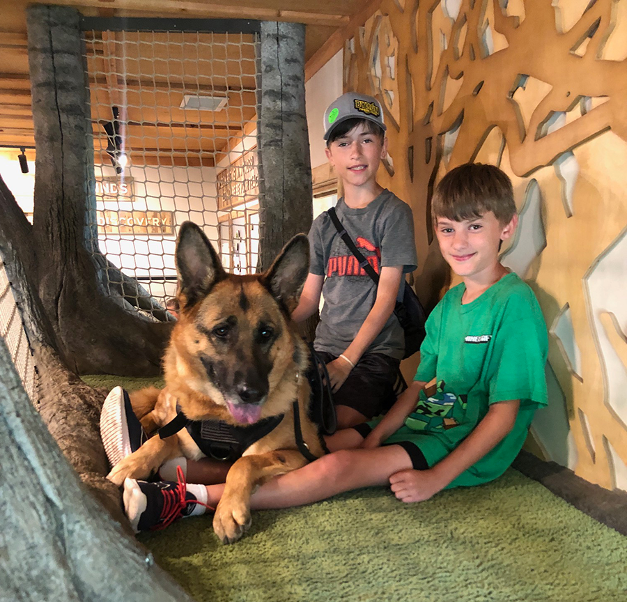 The 3 Types of Dog Helpers - Finding Cooper's Voice | Welcome to the ...